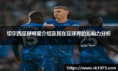 切尔西足球明星介绍及其在足球界的影响力分析